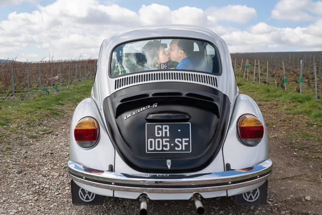 Coccinelle des mariés dans les vignes – Frédéric Leroux, photographe de mariage à Reims